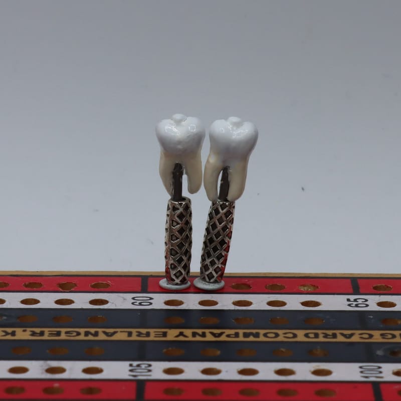 Human Tooth Cribbage Pegs KRAZY KUSTOM CRIBBAGE PEGS (Since 2016)