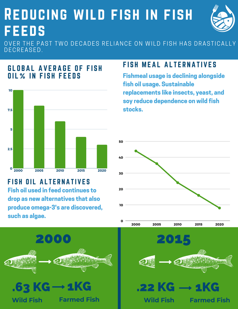 Today's Farmed Fish - Today’s Farmed Fish Is A Collaborative Thought 