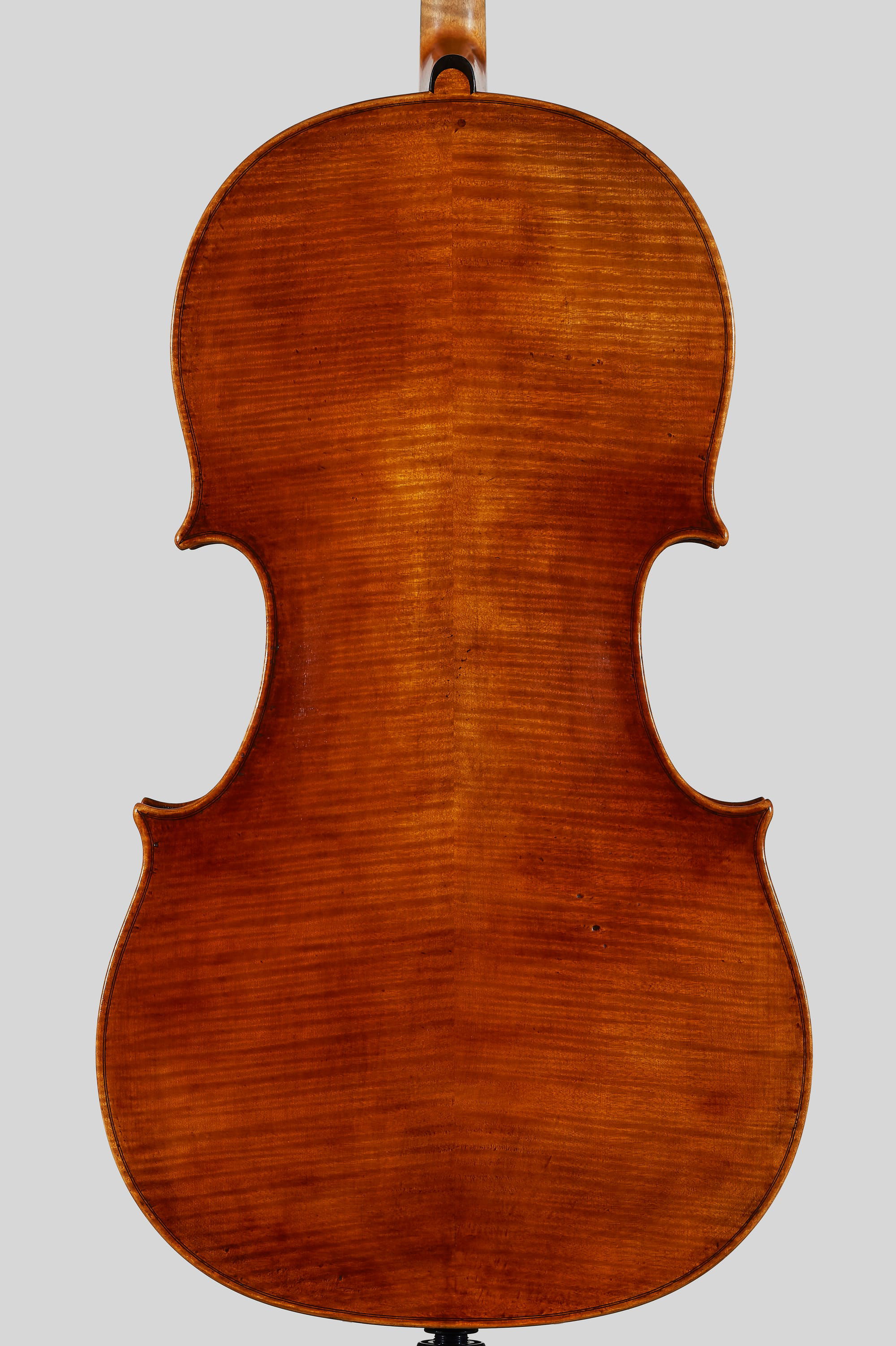 Domenico Montagnana Cello 1740