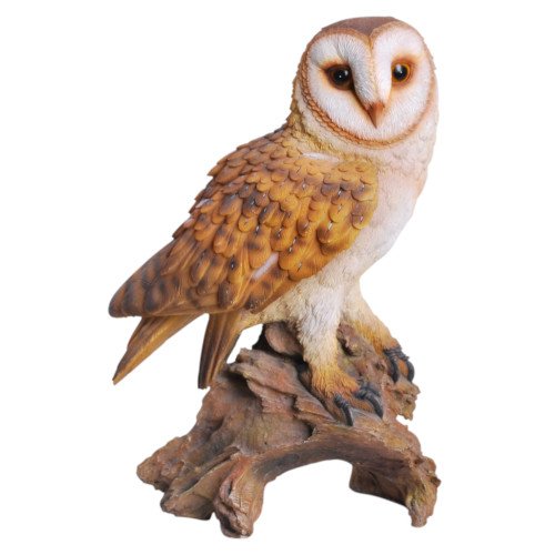 Barn Owl (XRL-BARN-B) - The Potting Shed Dorchester