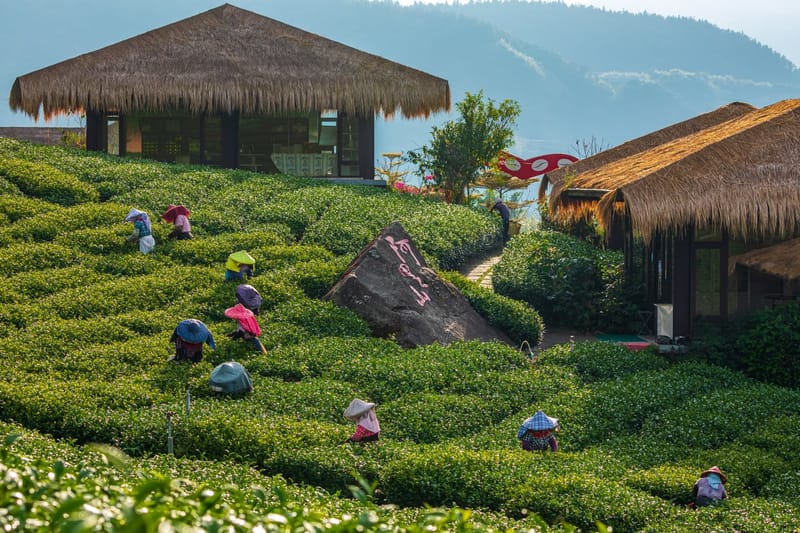 茶藝館