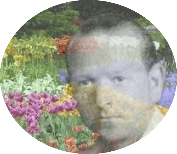 Les élixirs floraux du Dr Edward Bach