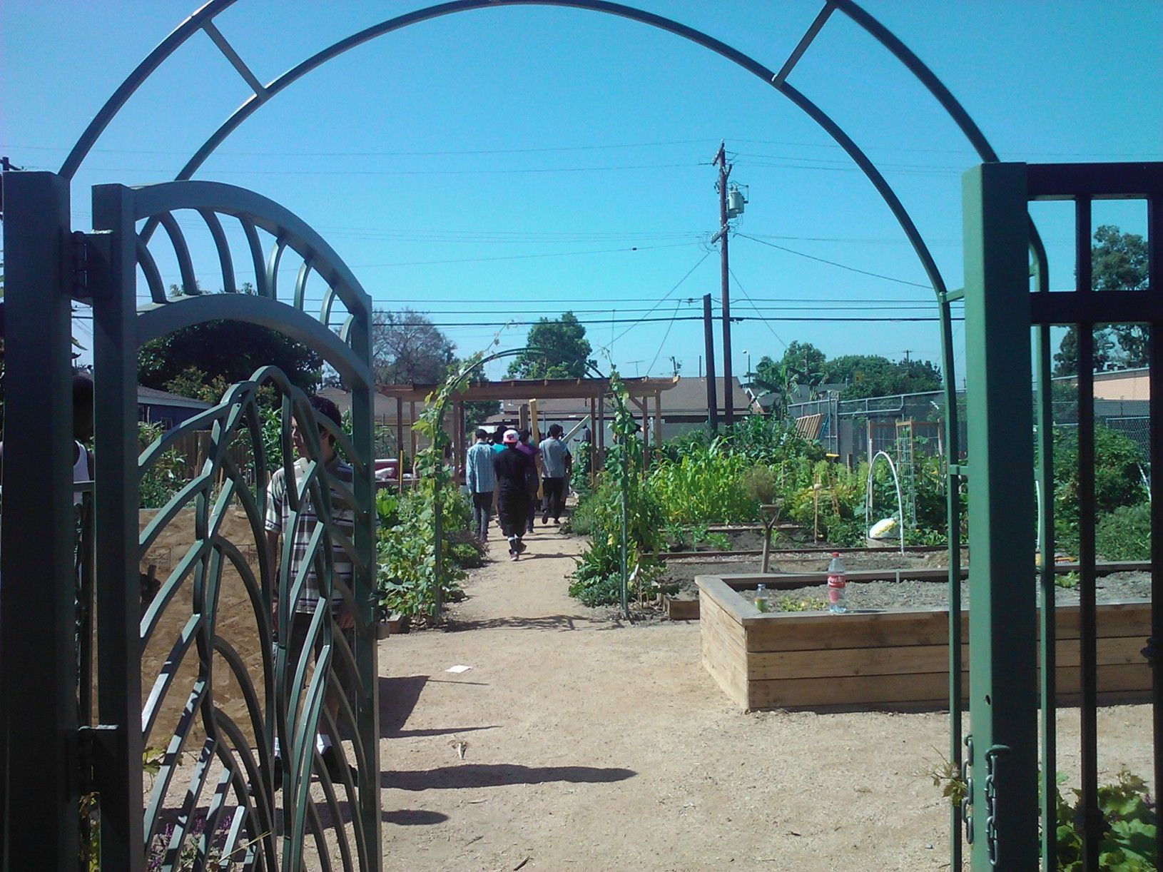 Mary Molina Community Garden | 1640 West 20th St. | 90810