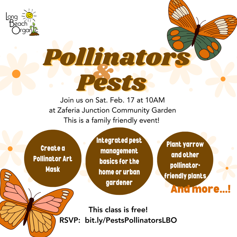 Pollinators & "Pests" in the Garden