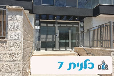 כלנית 7