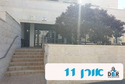אורן 11