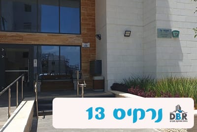 נרקיס 13