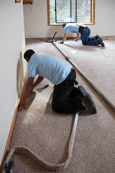 Choosing the Right Carpet Cleaning Company image