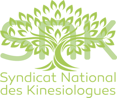 Kinésiologue Certifiée image