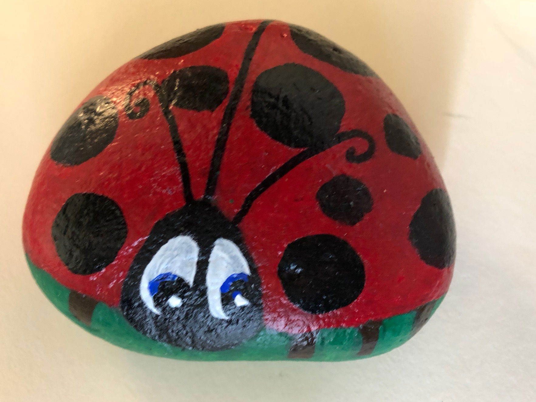 Lady Bug