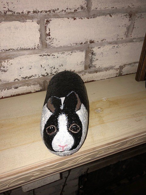 Black and White Bunny