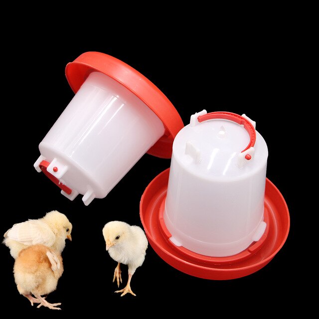 BROILER FARMING STARTER PACKAGES our poultry place
