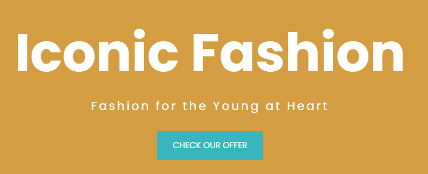 Iconic Fashion Website