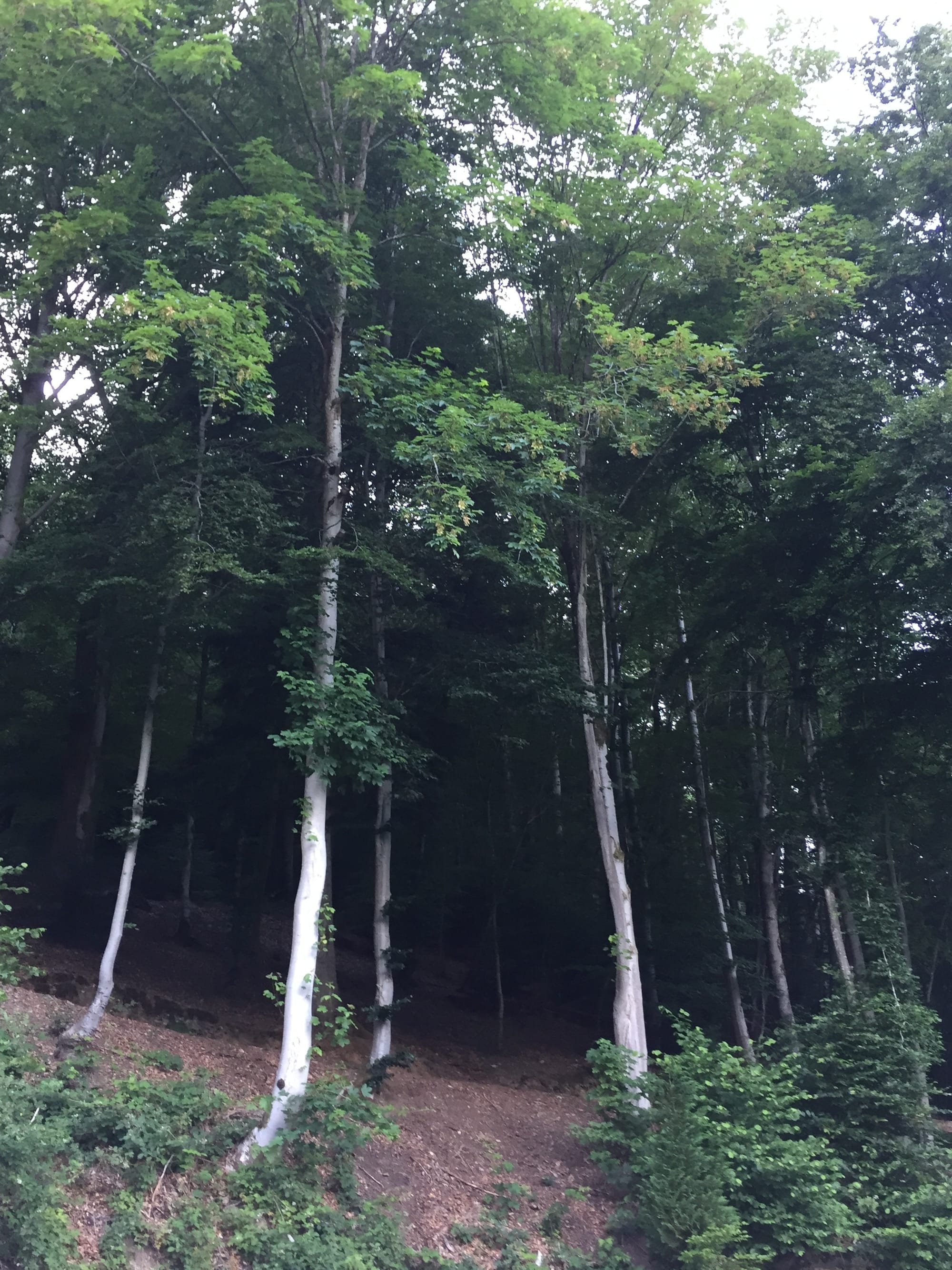 Hotel Bouillon HOTEL BOUILLON