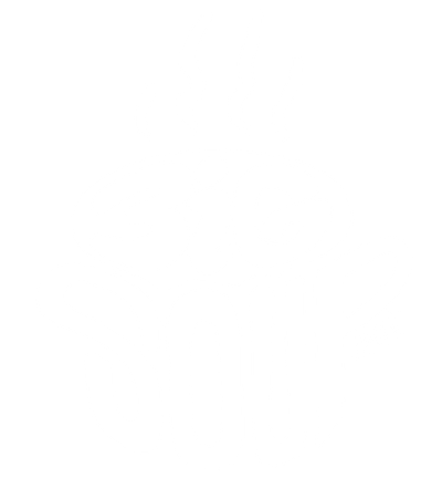 BIGSOUP ANIMATICS