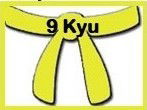 Information for Yellow Belt - 9th Kyu: