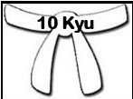 Information for White Belt - 10th Kyu: