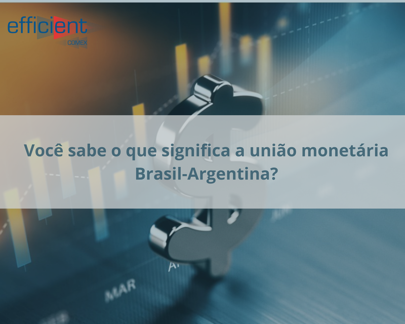 Você sabe o que significa a união monetária Brasil-Argentina? - Efficient  Comex