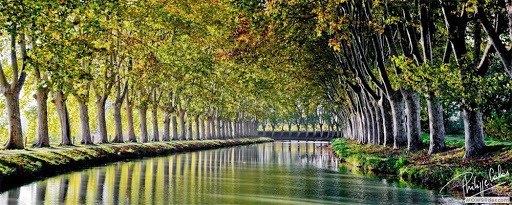 Canal du Midi, randonnées