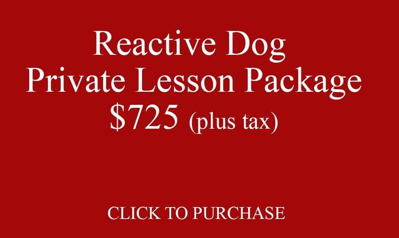 Reactive Dog Private Lesson Package
