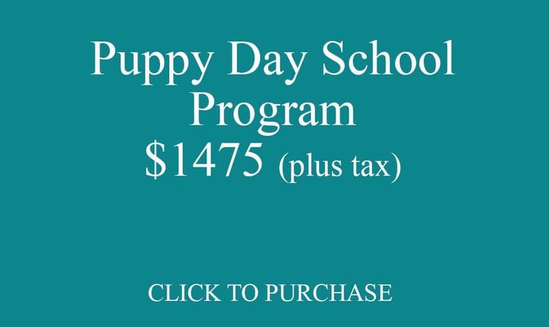 Puppy Day School Program