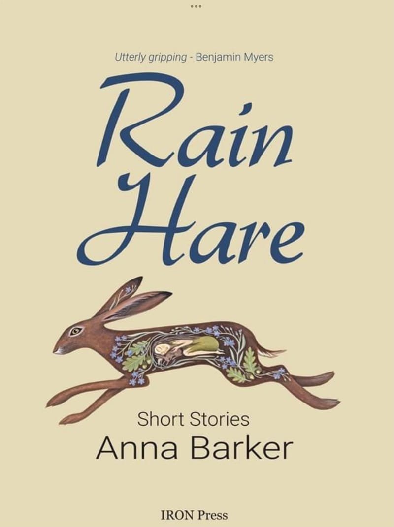 Iron Press Book Launch - Rain Hare by Anna Barker
