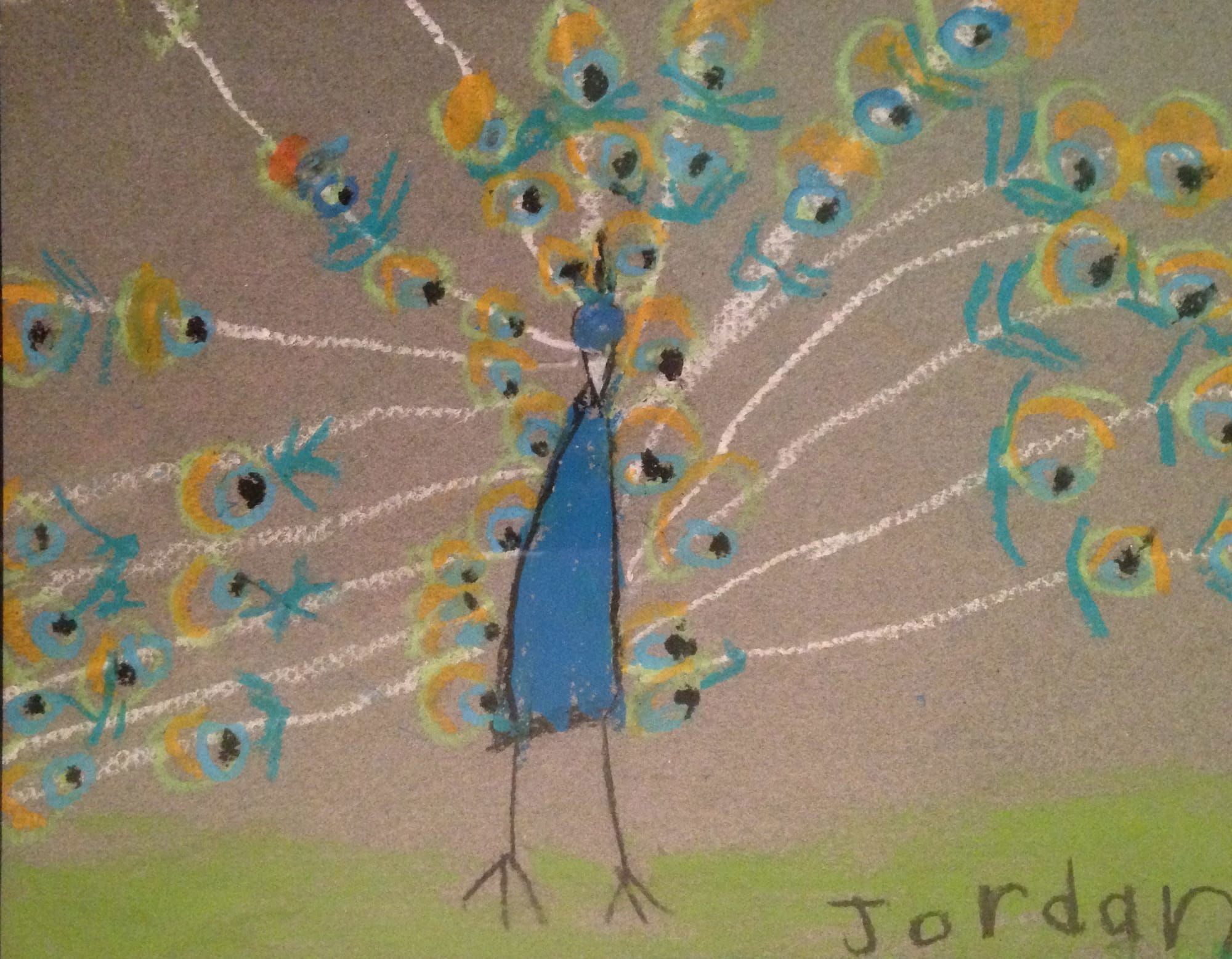 Peacock by Jordan age 5