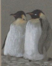 Penguins by Elijah at age 8