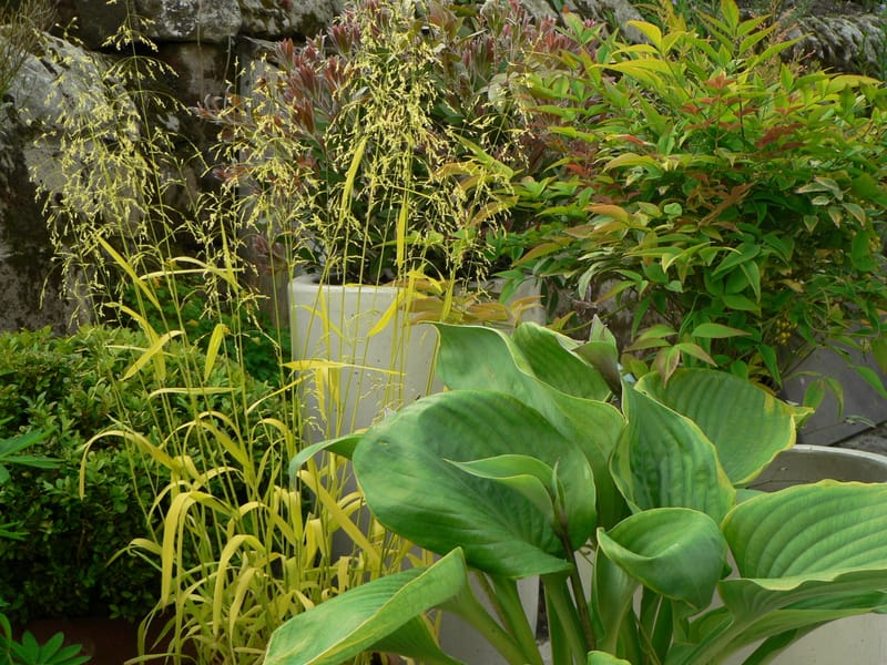 Hidden Gardens and Courtyards of Wirksworth