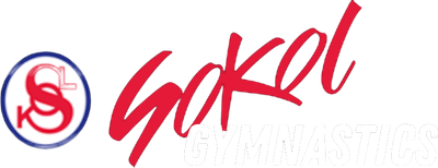 Sokol Gymnastics Nebraska