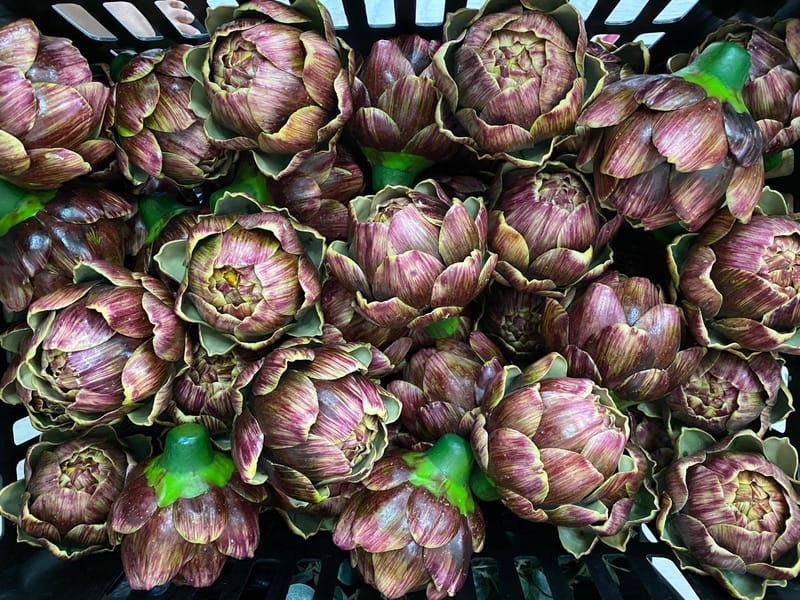 Burgundy Globe artichoke Head Artificial Flowers Keighley UK