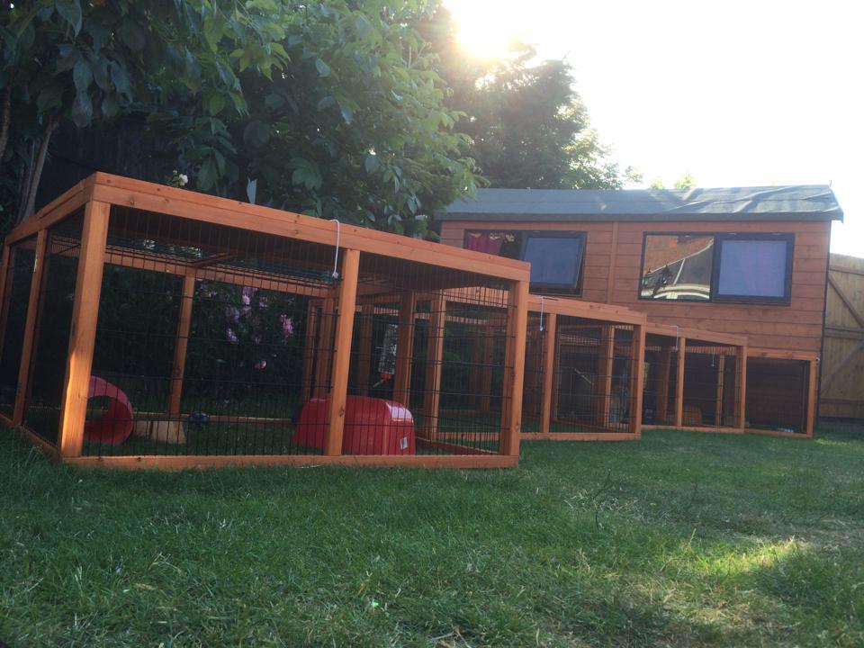 Dartford Small Pet Boarding A luxury small pet hotel