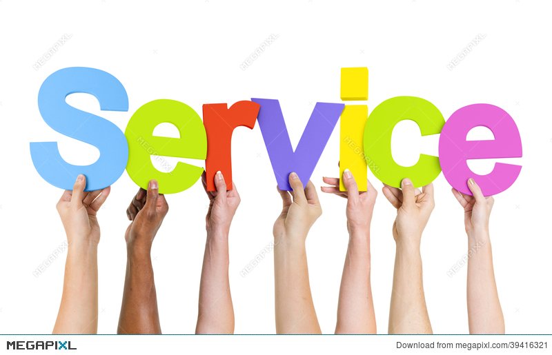 Our Services Include: