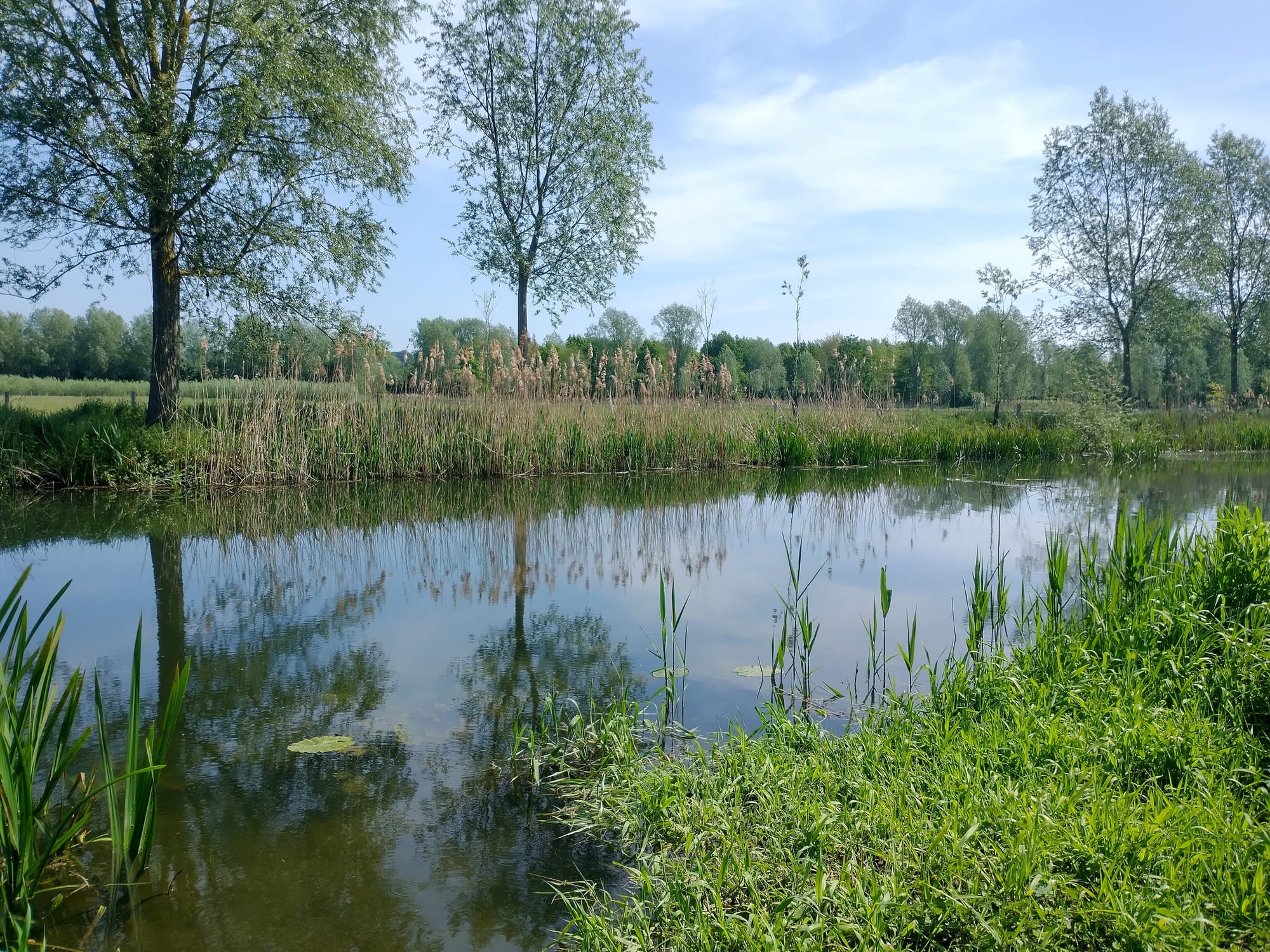 River Stour at the Black Barn stretch in Stratford St Mary - Essex Bank Only