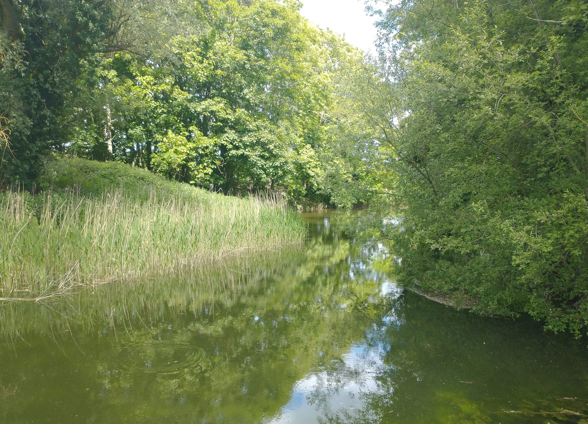 River Stour Langham