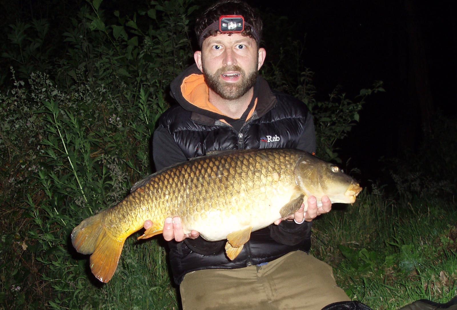 Great Carp