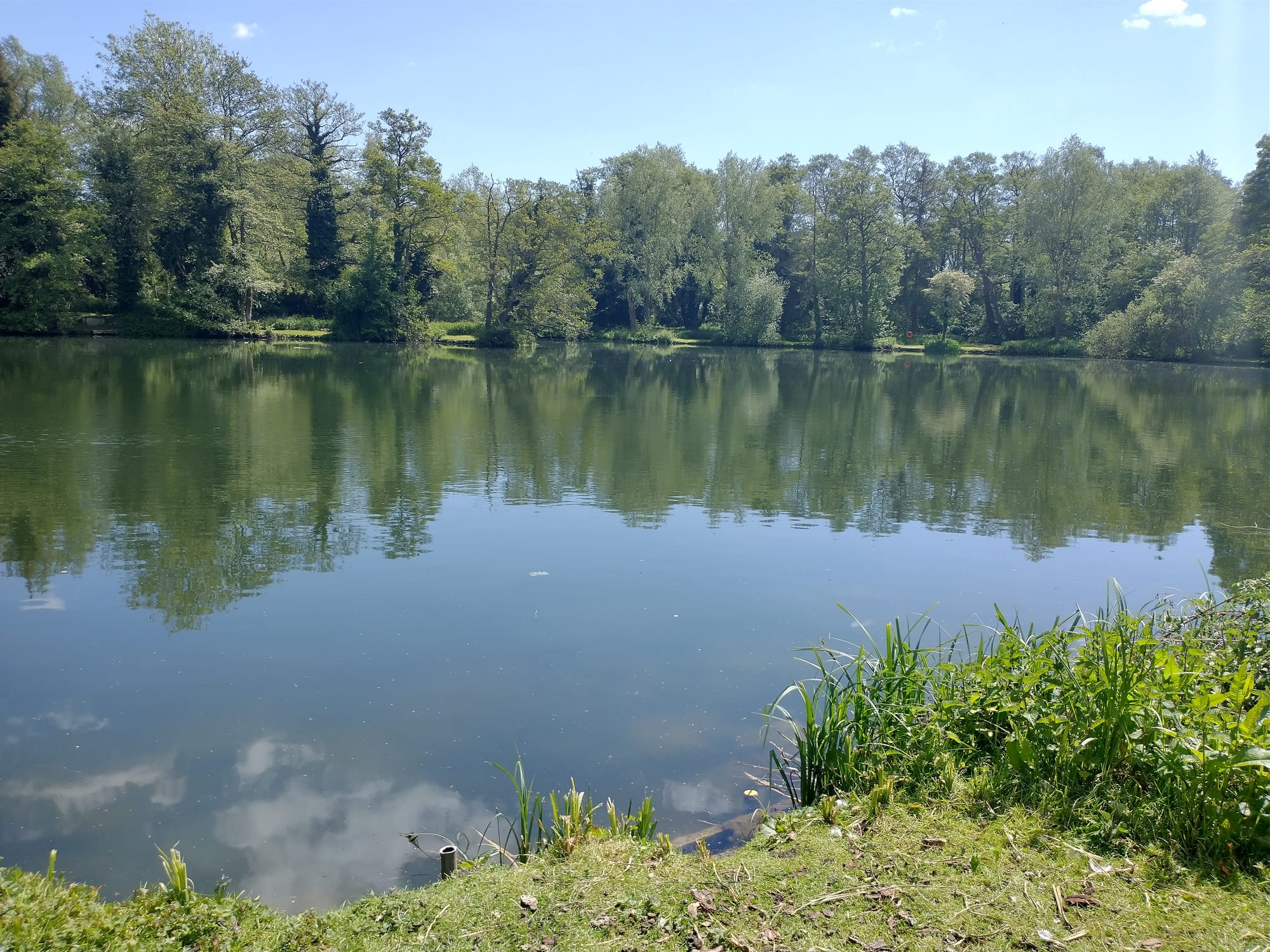 Langham Ponds 1