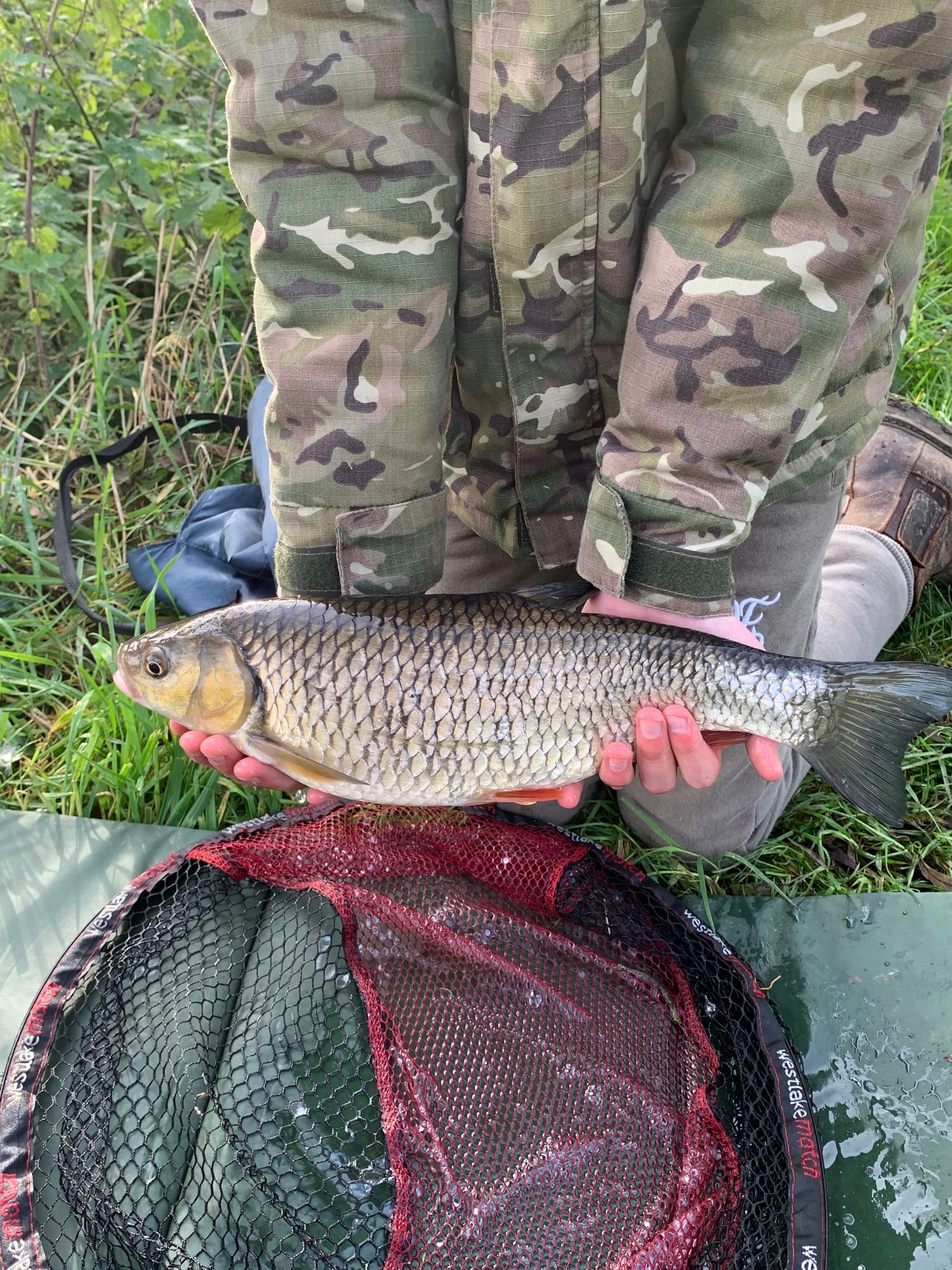 First ever Chub for Zach. Caught downstream from Stratford Mill Pool. Well done Zach, nice size!