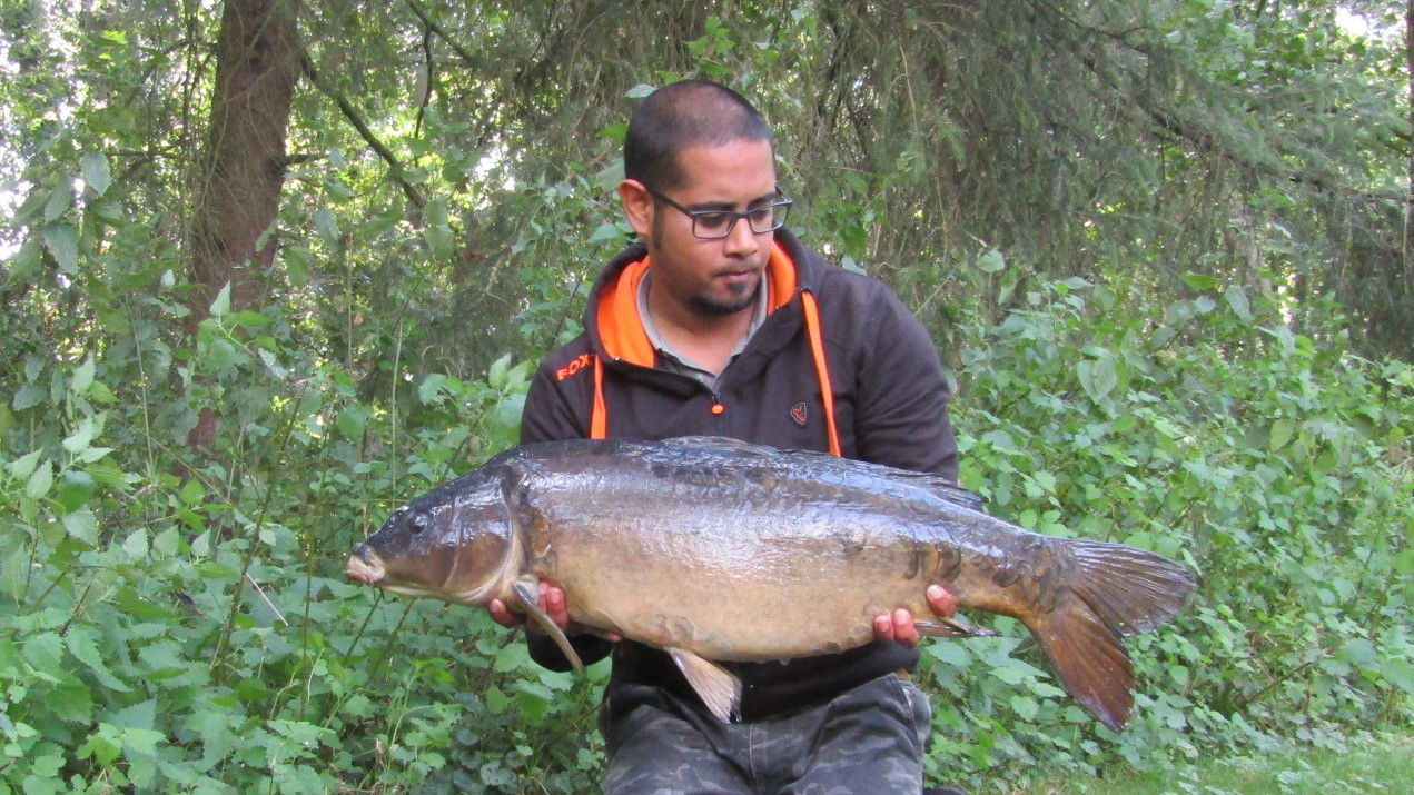 Lovely Carp Jerome
