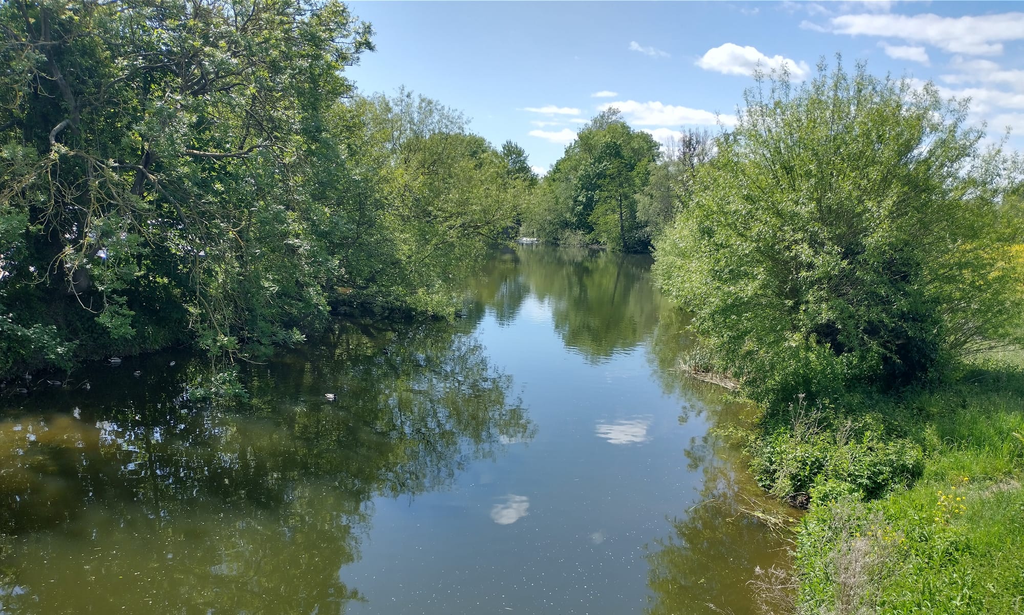 Dedham Mill Pool and River approx 200 yards upstream