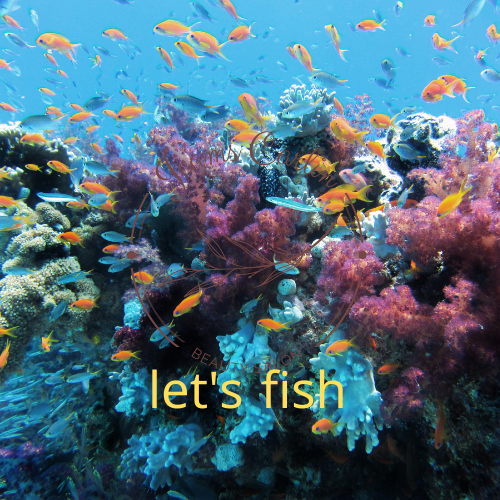 let's fish‏