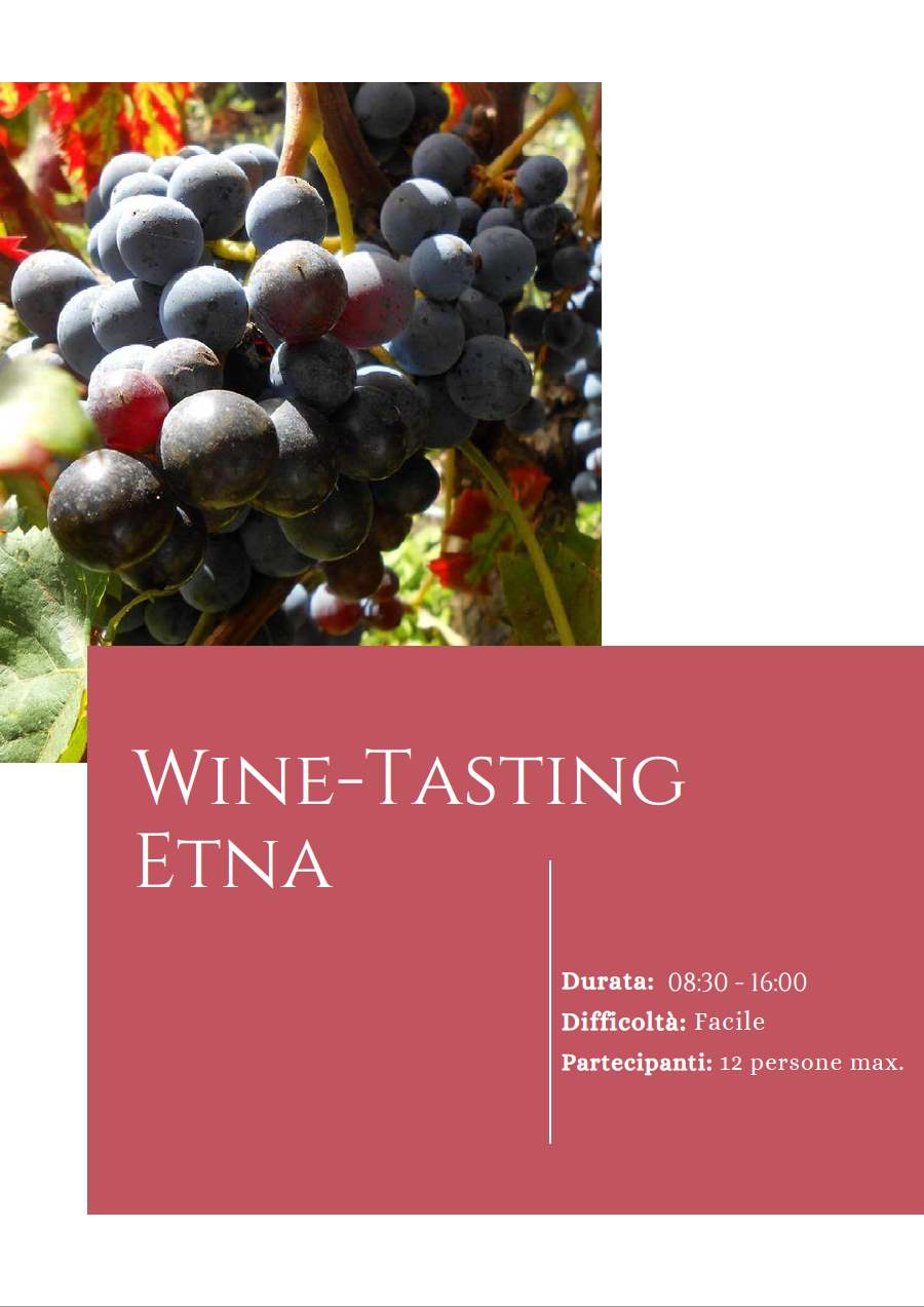 Wine Tasting Etna