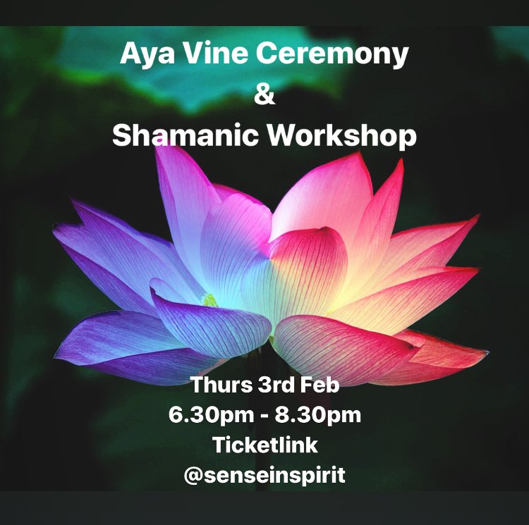 Aya Ceremony & Shamanic Workshop