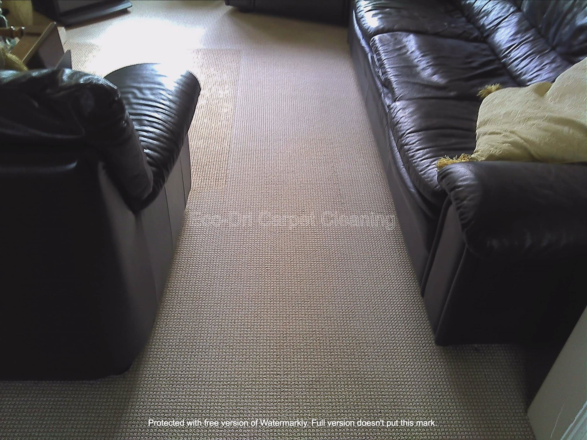 Carpet cleaning after