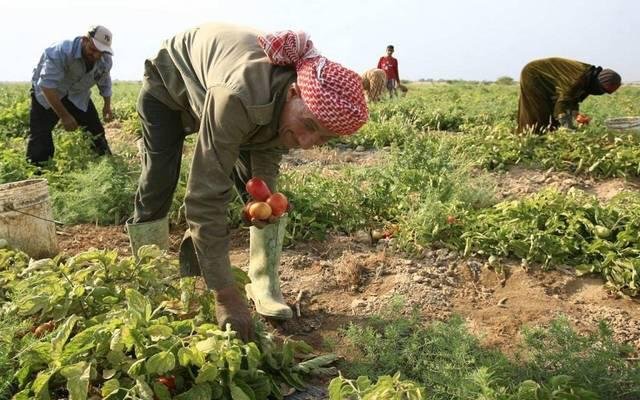 الوضع القانوني لعمال الزراعة في الأردن