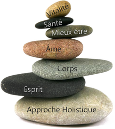 Healy® pour une bonne santé holistique image