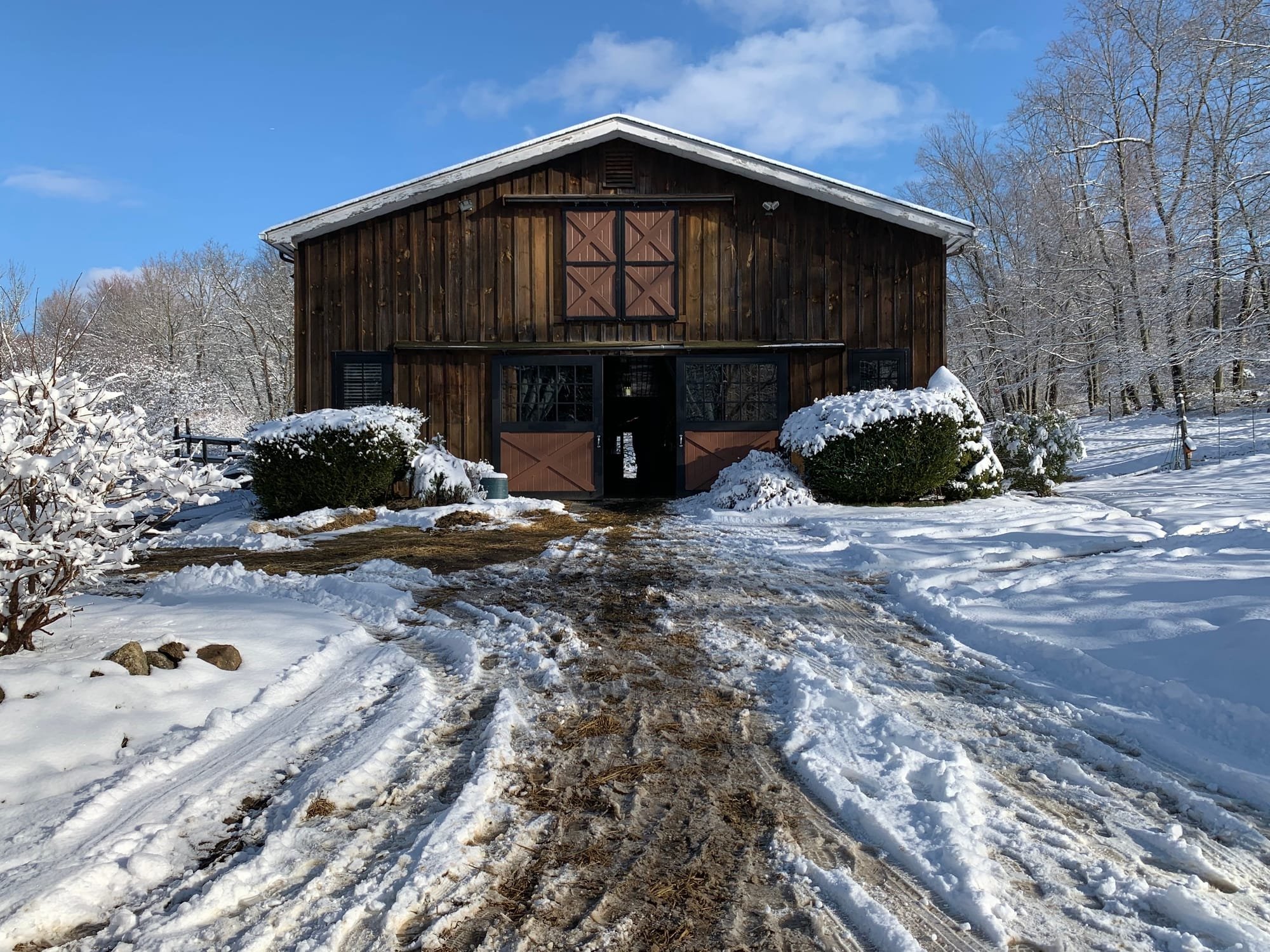 Winter at the barn