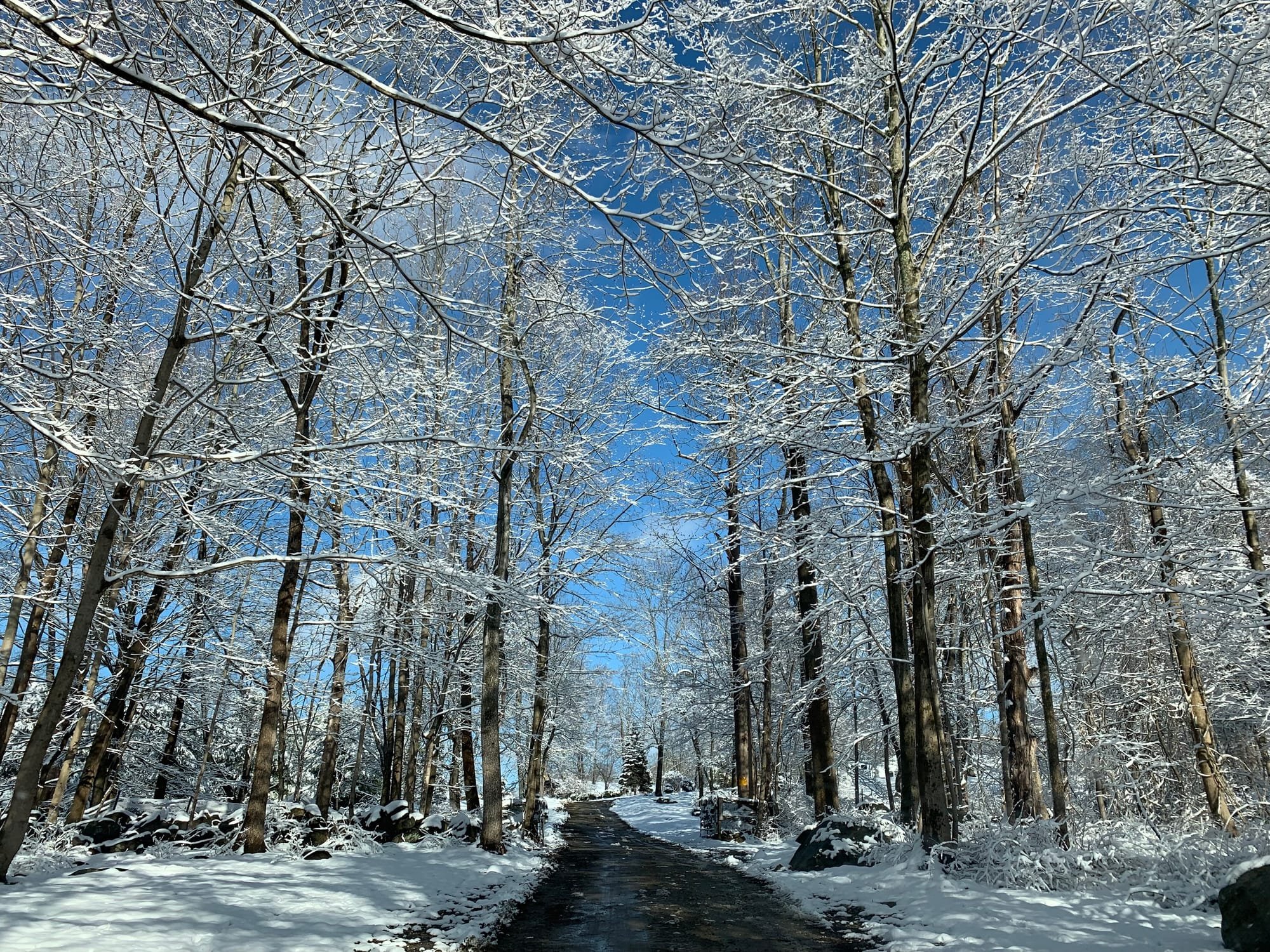 The beautiful drive up to the barn after a snow