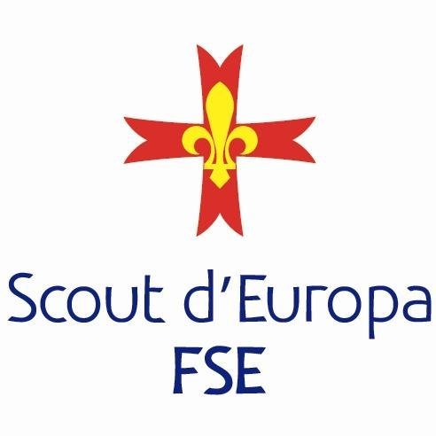 Scout pescara hotsell