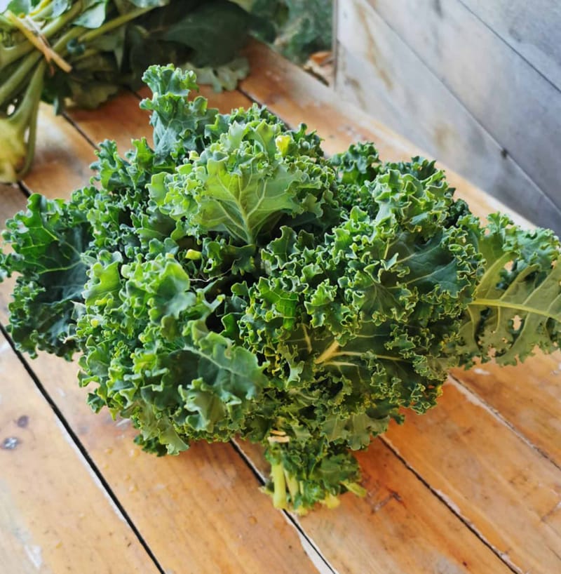 Kale Bunch Cyrus Farm Health Store